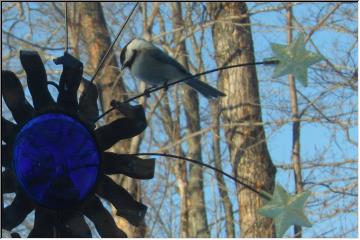 Fancy birdfeeder
