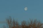 Daytime moon
