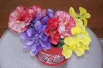 Spring snow flowers