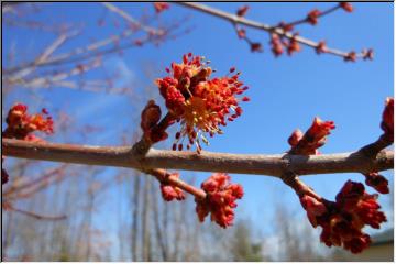 Spring is sprung!