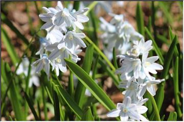 Spring has sprung!