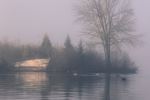 In the haze