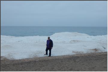 Cool shores