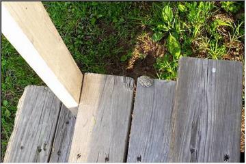 Something on the steps