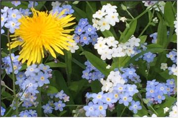 Pretty bouquet