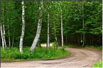 Winding road