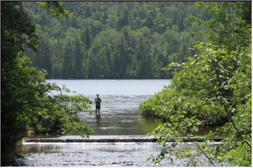 Wetting a line