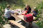 Picnic