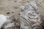 Patterns in wood