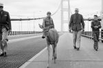 4 legged walker