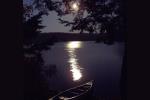 Moonlight
