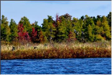 Fall fishing