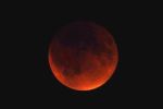 Turning red