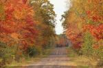 Dirt road color