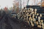Log piles