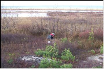 On Superior's shore