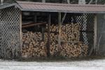 Winter wood supply