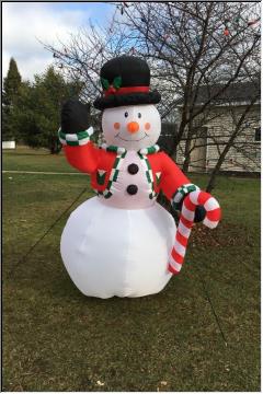 Frosty on green grass