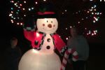 Frosty in lights