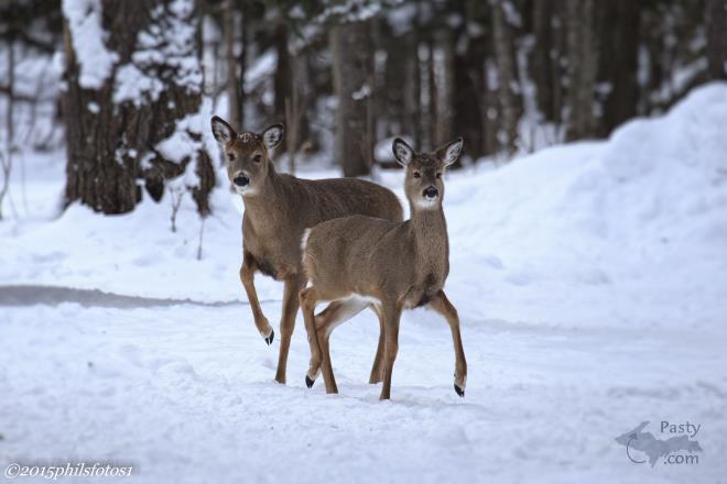 Photos by Philip Odum