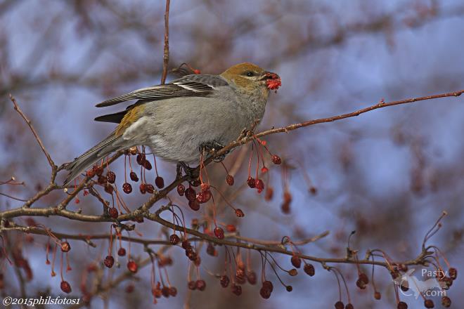 Photo by Laurie Bashaw