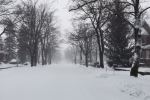 Snowy street