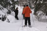 Snowshoeing