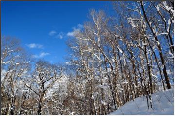 Shades of blue and white