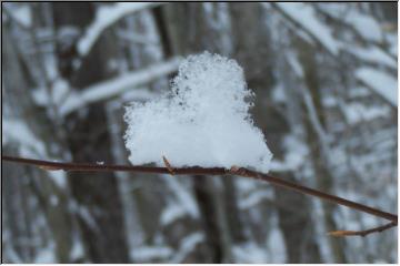 Heart of snow