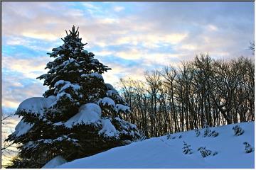 Winter skyline