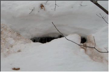 Who lives here?