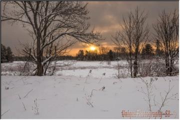 Morning has broken
