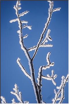 Tuesday hoar frost