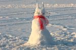 Snow-bunny