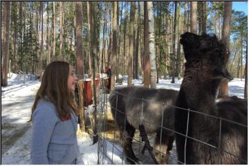 Talk with the animals