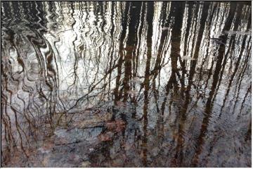 Spring mirror