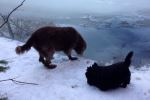 Walking partners