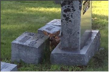 Where's your Momma?
