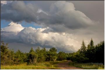 Overcast
