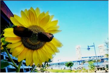 I've got my sunglasses on