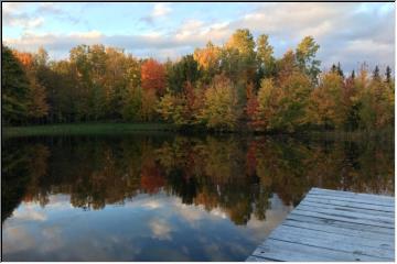 Reflecting pond