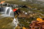 Fall leaves in the falls
