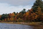Around the lake