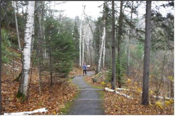 Heading up the trail