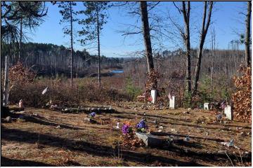 Pinery Indian Cemetery