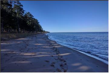 Cold weather beaching
