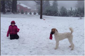 Playing in the snow