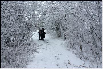 Friends and snow