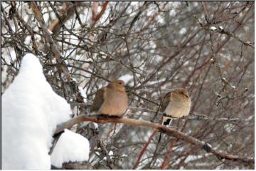 Waiting on branches