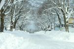 Calumet snow